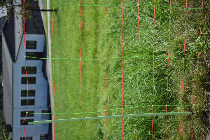 Euro-Netz Kombi 106/2